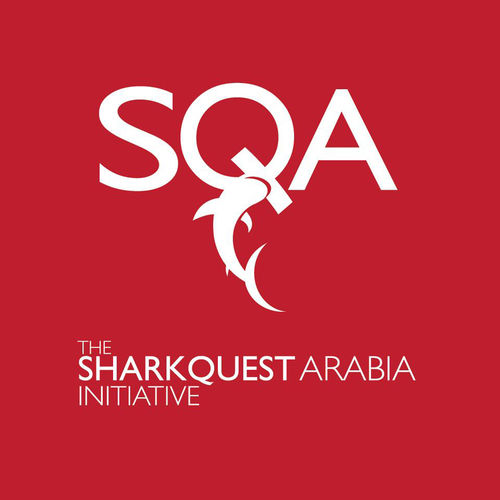 Shark quest arabia